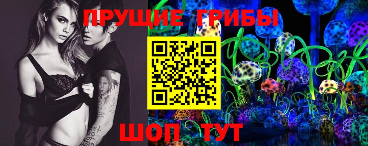 Сатка  Галлюциногенные грибы прущие грибы  Вход с VPN  Галлюциногенные грибы мухоморы 